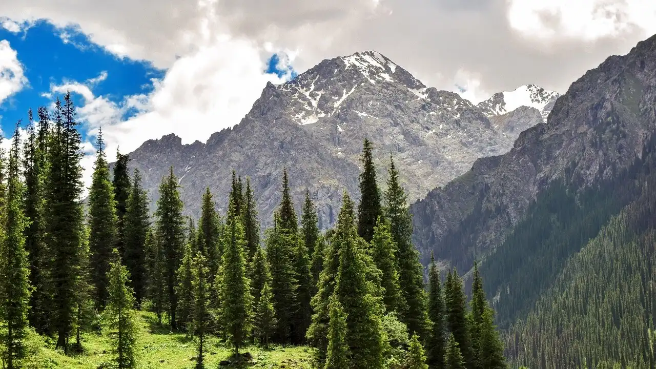 When You Should Speak Kazakh Vs. Russian In Kazakhstan